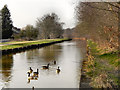 The Bridgewater Canal, Monton