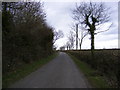 TM3970 : Willow Marsh Lane by Geographer