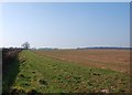 Towards Hookgate