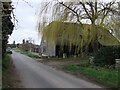 Barn conversion and weeping willow at Berry Court Farm, Cooling Street