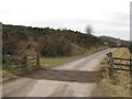 Cattle grid, Newton of Bamff