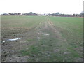 Footpath to Singledge Lane