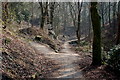 Paths in Hall Lee Bank park, Westhoughton