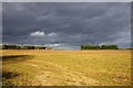 Field by Sheepstead Farm