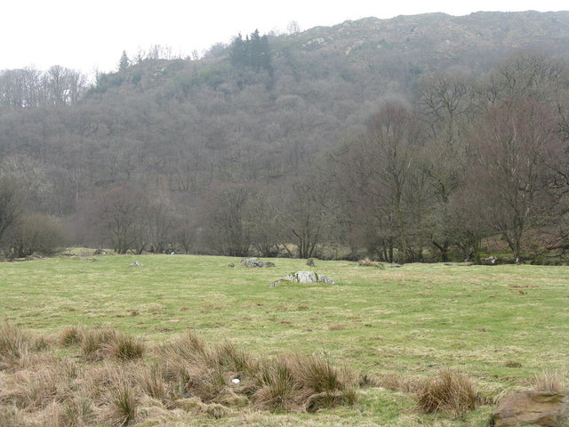 Field and forest near Capel Curig