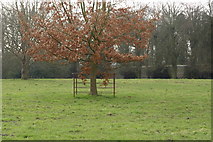 TQ4007 : Greenwich Meridian tree in Iford by steve ridley