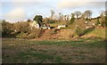 Hoo Meavy across the field from the river bridge 