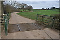 Cattle grid, Lower Berrow Farm