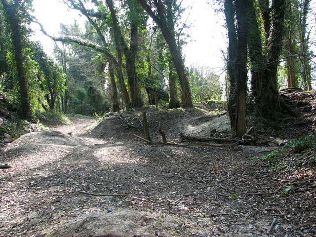 Danby Wood nature reserve