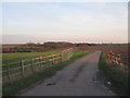 The lane to Burnham Beeches Farm