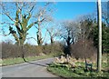 The entrance to Lake Road, Ballydugan