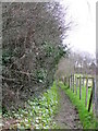 Footpath, Lytchett Matravers