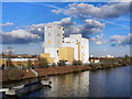 Manchester Ship Canal, Coronet Mill