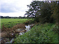 Drainage channel near Earsham Dam