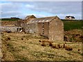 Mill Burn Mill (Stromness)