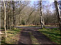 Driveway to Littleworth Road