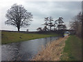 SD5381 : The Lancaster Canal at Bridge 156, Farleton by Karl and Ali
