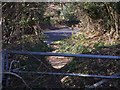 Footpath reaches Priorsfield Road