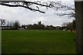 Croydon: Park Hill, Water Tower, from the Vanguard Way