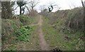 Footpath to Polridmouth