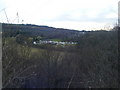 Derwent Country Park,Derwent Valley