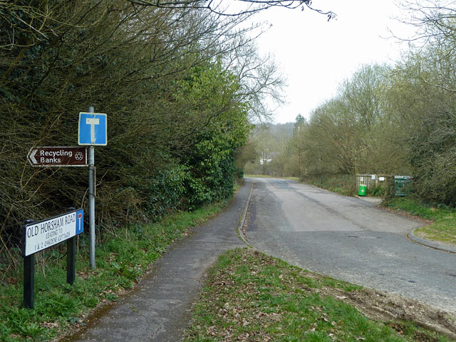 Old Horsham Road, South Holmwood © Robin Webster cc-by-sa/2.0 ...