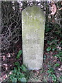 Milestone with bench mark, Hindon