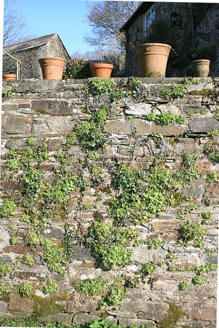 Pots on garden wall