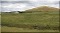 Grassland near Abington