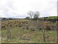 Cavanreagh Townland