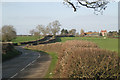 Roadside hedges on Alveston Hill