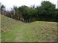 Path on Nature Reserve leading to the gate to the bridleway