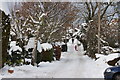 Snow in Foley Gardens