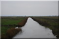 TQ7177 : Ditch , Cliffe Marshes by N Chadwick