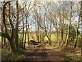 Footpath near Frith Park