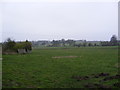 Footpath to the B1117 Halesworth Road