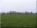 Footpath to the B1117 Halesworth Road