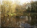 Pond, Headley Heath