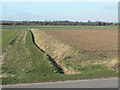 Footpath to Owston Ferry