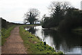 Great Western Canal at Battens Bridge 