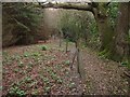 Footpath to Isfield