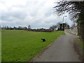 Football fields at Wrockwardine Wood