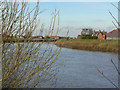 River Trent at Owston Ferry