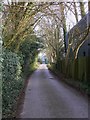 Rectory Lane in Bentley