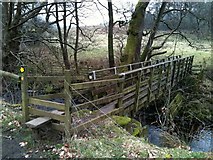 SD5654 : Footbridge on the Wyre Way by John H Darch