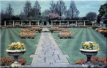 TQ3008 : Peace Gardens in Patcham 1968 by Gordon Spicer
