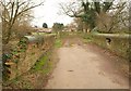 Bridge over Loughton Brook