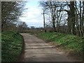 Road passing Broadclyst windmill