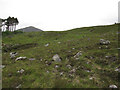 NH2965 : Moorland by Aultdearg by Hugh Venables