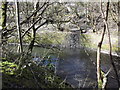 River Irwell at Lumb from under the viaduct